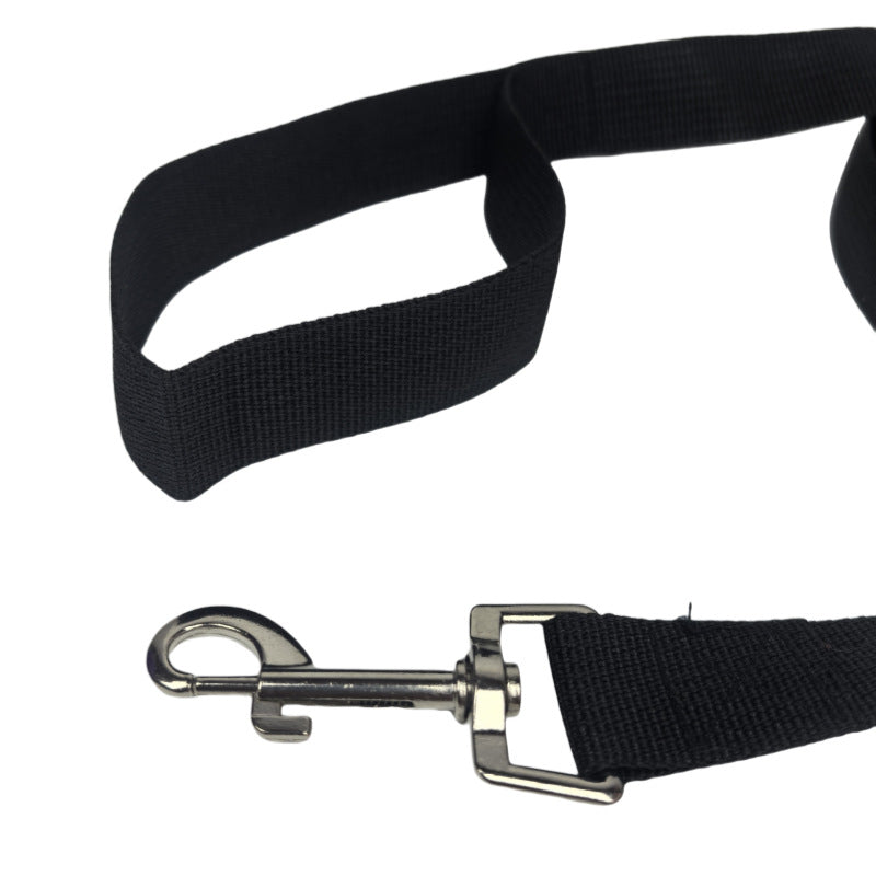 Nylon Dog Lead