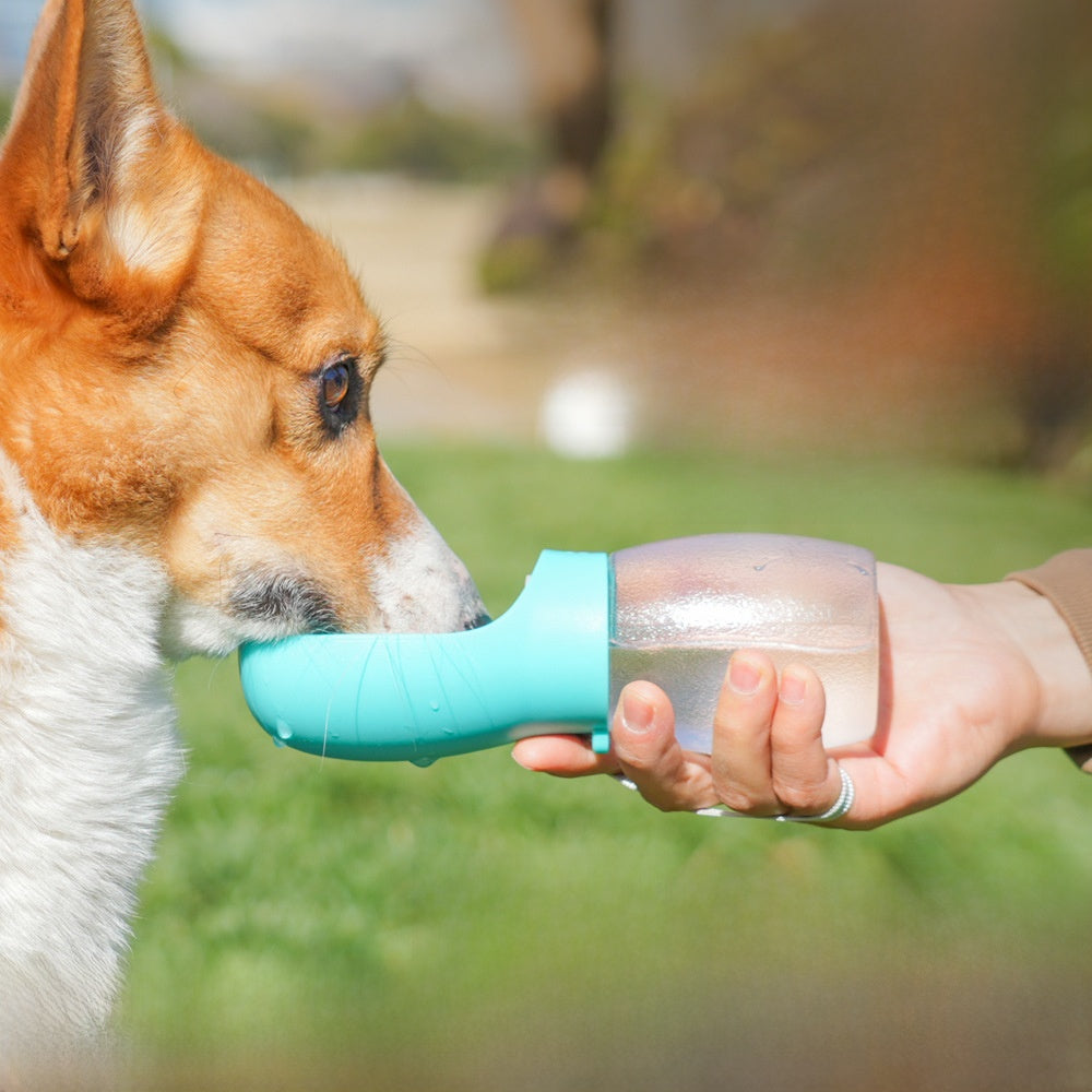 Portable Pet Water Bottle