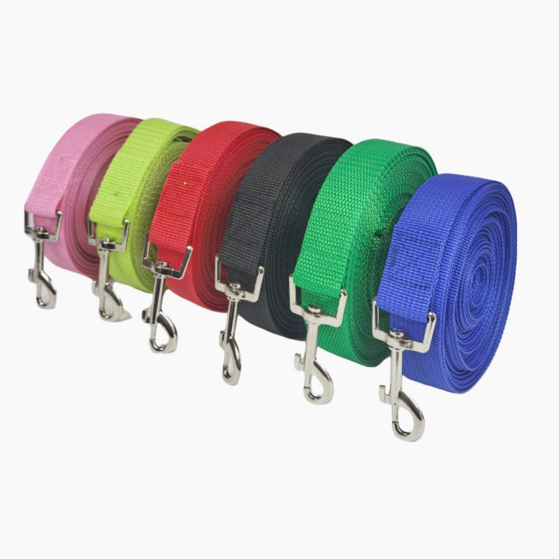 Nylon Dog Lead